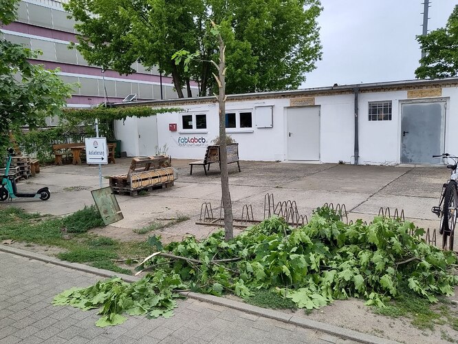 photo_2025-10-10_16-51-06